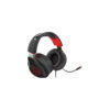 Genesis Radon 610